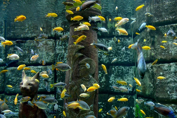 Antalya Aquarium