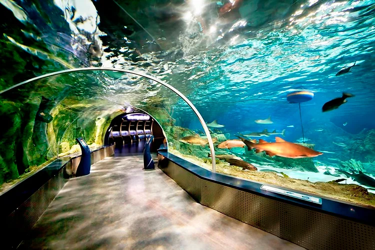 Antalya Aquarium